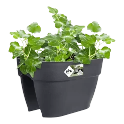 Elho Balkonbak Vibia Campana Bridge 40cm - Antraciet 9 Elho Balkonbak Vibia Campana Bridge 40cm - Antraciet -Tuinbenodigdheden Bevordering balkonbak vibia campana bridge 40cm antraciet balkonbak antraciet 3 1