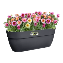 Elho Balkonbak Vibia Campana Easy Hanger Large - Antraciet -Tuinbenodigdheden Bevordering balkonbak vibia campana easy hanger large antraciet balkonbak antraciet 4 1