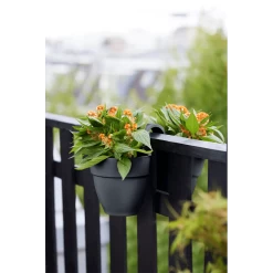 Elho Balkonbak Vibia Campana Twin 21cm - Antraciet -Tuinbenodigdheden Bevordering balkonbak vibia campana twin 21cm antraciet balkonbak antraciet 5 1