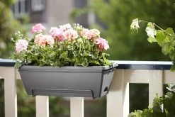 Balkonbak Elho Barcelona Allin 1 50cm - Antraciet -Tuinbenodigdheden Bevordering barcelona allin1 50cm plantenbak antraciet 7 18