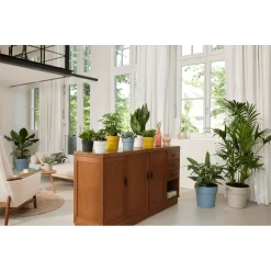 Bloempot Elho B.for Original Rond 25cm - Duifblauw -Tuinbenodigdheden Bevordering bfor original rond bloempot duifblauw 4 1