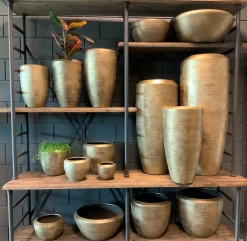 Plantenschaal Kos - D35 X H18cm - Goud 7 Plantenschaal Kos - D35 X H18cm - Goud -Tuinbenodigdheden Bevordering bloempot kos serie goud bloempot 3 1 1