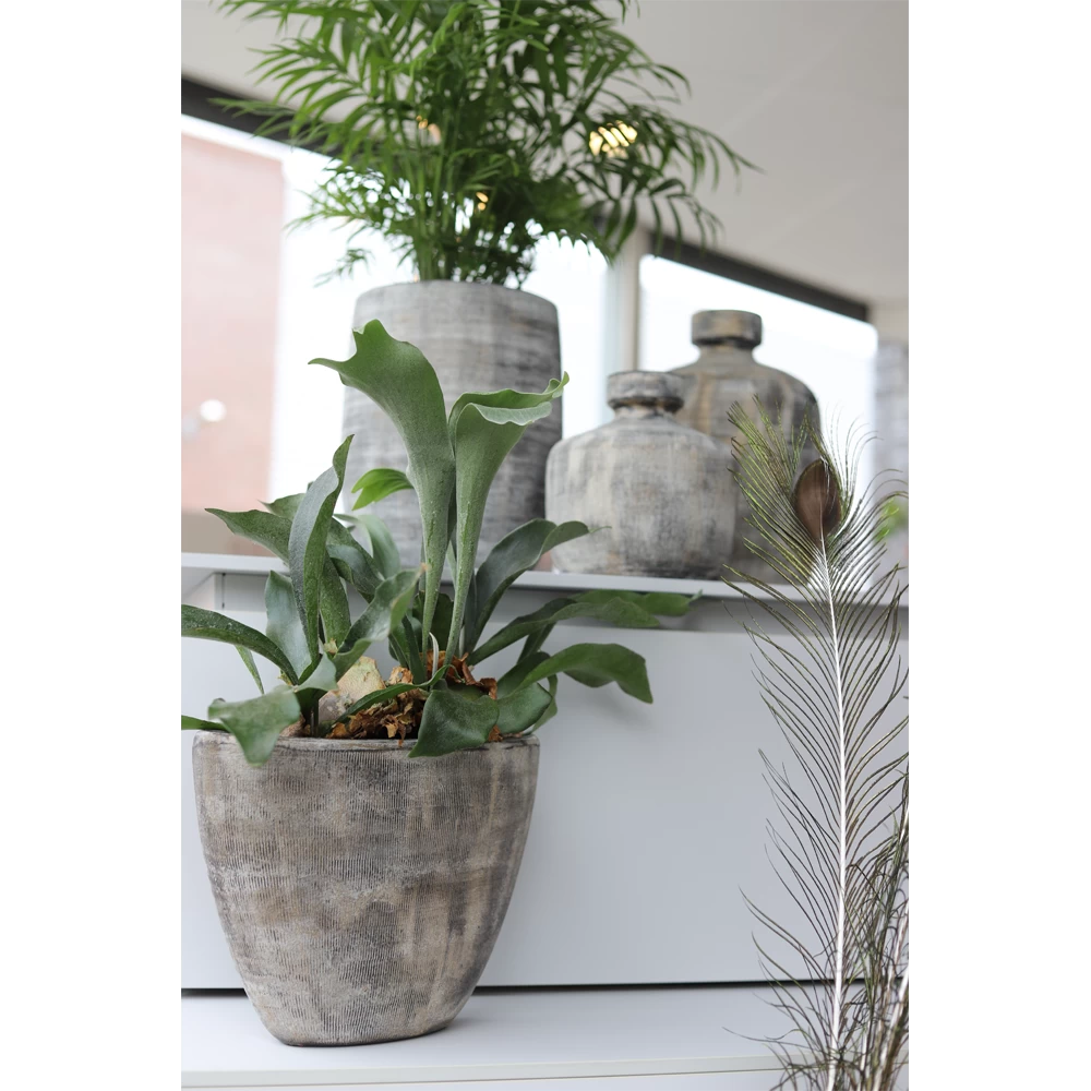 Bloempot Miami Ovaal - L35 X D16 X H19cm - Zwart Cement 4 Bloempot Miami Ovaal - L35 X D16 X H19cm - Zwart Cement - Afbeelding 2