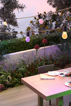 Calex Smart Outdoor Feestverlichting/Partystring - 10M 24V 11 Calex Smart Outdoor Feestverlichting/Partystring - 10M 24V -Tuinbenodigdheden Bevordering calex smart outdoor feestverlichting partystring 10m 24v 5