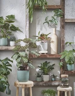 Bloempot Daan - D19 X H17.5cm - Wit -Tuinbenodigdheden Bevordering daan pot rond wit h17 5xd19cm bloempot 7 7