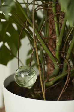 Aqua Care Elho - Transparant 11 Aqua Care Elho - Transparant -Tuinbenodigdheden Bevordering elho aqua care transparant water geven 7 2