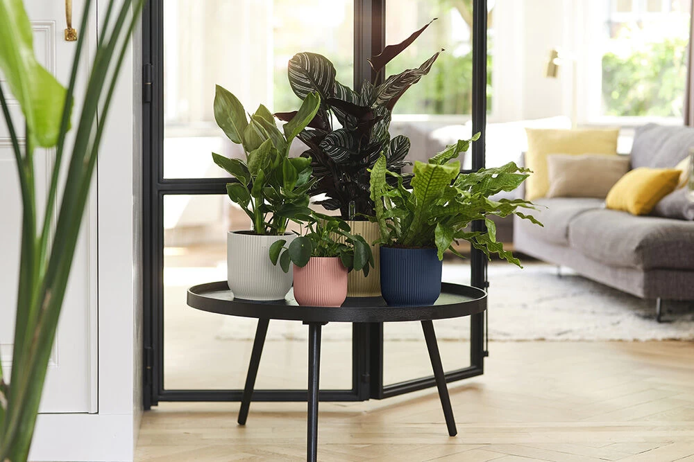 Bloempot Elho Vibes Fold Rond - D22 X H20cm - Delicaat Roze - Afbeelding 6