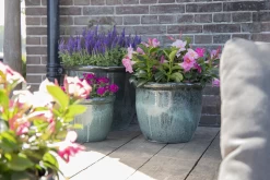 Bloempot Glazed Hp001 - D50 X H39cm - Groen 7 Bloempot Glazed Hp001 - D50 X H39cm - Groen -Tuinbenodigdheden Bevordering glazed hp001 moss green d50h39 bloempot groen 7 6