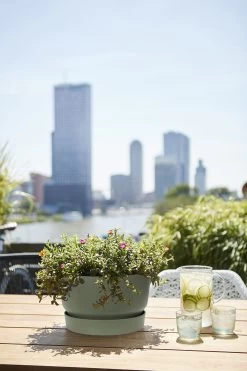 Plantenschaal Elho Greenville 33cm - Bladgroen -Tuinbenodigdheden Bevordering greenville schaal 33cm bloempot bladgroen 6 13