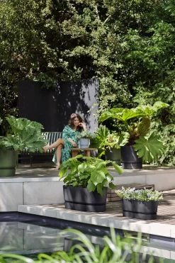 Bloembak Elho Greenville Terrace Long 50cm - Met Wielen - Living Black 9 Bloembak Elho Greenville Terrace Long 50cm - Met Wielen - Living Black -Tuinbenodigdheden Bevordering greenville trough long 50 plantenbak living black 6 13