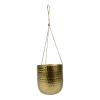 Hangpot Kody - D16 X H18cm - Goud -Tuinbenodigdheden Bevordering hanger kody gold d16 h18 hangpot 1 4