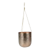Hangpot Kody - D16 X H18cm - Rosu00e9 Goud -Tuinbenodigdheden Bevordering hangpot kody d16 h18 rose goud hangpot 1 10