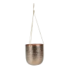 Hangpot Kody - D17 X H20cm - Rosu00e9 Goud -Tuinbenodigdheden Bevordering hangpot kody d17 h20 rose goud hangpot 1 10