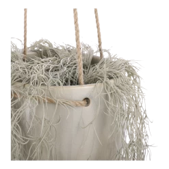 Hangpot Resa - D18,5 X H17cm - Lichtgrijs 9 Hangpot Resa - D18,5 X H17cm - Lichtgrijs -Tuinbenodigdheden Bevordering hangpot resa d18 5 x h17cm lichtgrijs hangpot 3 1