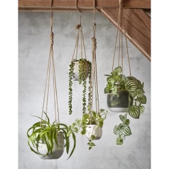 Hangpot Resa - D18,5 X H17cm - Lichtgrijs 11 Hangpot Resa - D18,5 X H17cm - Lichtgrijs -Tuinbenodigdheden Bevordering hangpot resa d18 5 x h17cm lichtgrijs hangpot 5 1