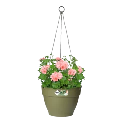 Elho Hangschaal Vibia Campana 26cm - Saliegroen -Tuinbenodigdheden Bevordering hangschaal vibia campana 26cm saliegroen hangpot saliegroen 3 1