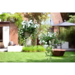 Elho Hangschaal Vibia Campana 26cm - Saliegroen -Tuinbenodigdheden Bevordering hangschaal vibia campana 26cm saliegroen hangpot saliegroen 4 1