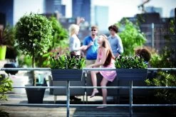 Balkonbak Elho Loft Urban 50cm - Antraciet -Tuinbenodigdheden Bevordering loft urban balkonbak 50 plantenbak antraciet 6 13