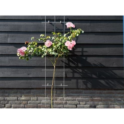 Nature - Metalen Klimrek Geplastificeerd Grijs H145x42,5cm 8 Nature - Metalen Klimrek Geplastificeerd Grijs H145x42,5cm -Tuinbenodigdheden Bevordering nature metalen klimrek geplastificeerd grijs h145x42 5cm 3 2