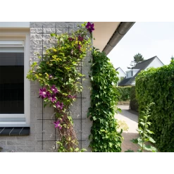 Nature - Metalen Klimrek Geplastificeerd Grijs H145x57cm 8 Nature - Metalen Klimrek Geplastificeerd Grijs H145x57cm -Tuinbenodigdheden Bevordering nature metalen klimrek geplastificeerd grijs h145x57cm 3 2