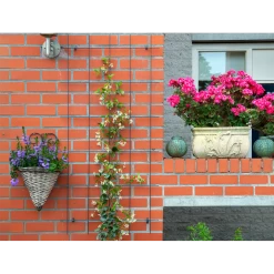 Nature - Metalen Klimrek Geplastificeerd Grijs H145x72,5cm 8 Nature - Metalen Klimrek Geplastificeerd Grijs H145x72,5cm -Tuinbenodigdheden Bevordering nature metalen klimrek geplastificeerd grijs h145x72 5cm 3 2