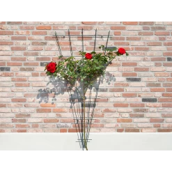 Nature - Metalen Klimrekv Geplastificeerd Groen H145x5/75cm -Tuinbenodigdheden Bevordering nature metalen klimrekv geplastificeerd groen h145x5 75cm 3 2