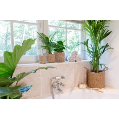 Plantenmand Joris - D30 X H27cm - Naturel -Tuinbenodigdheden Bevordering plantenmand joris naturel plantenmand 3 2