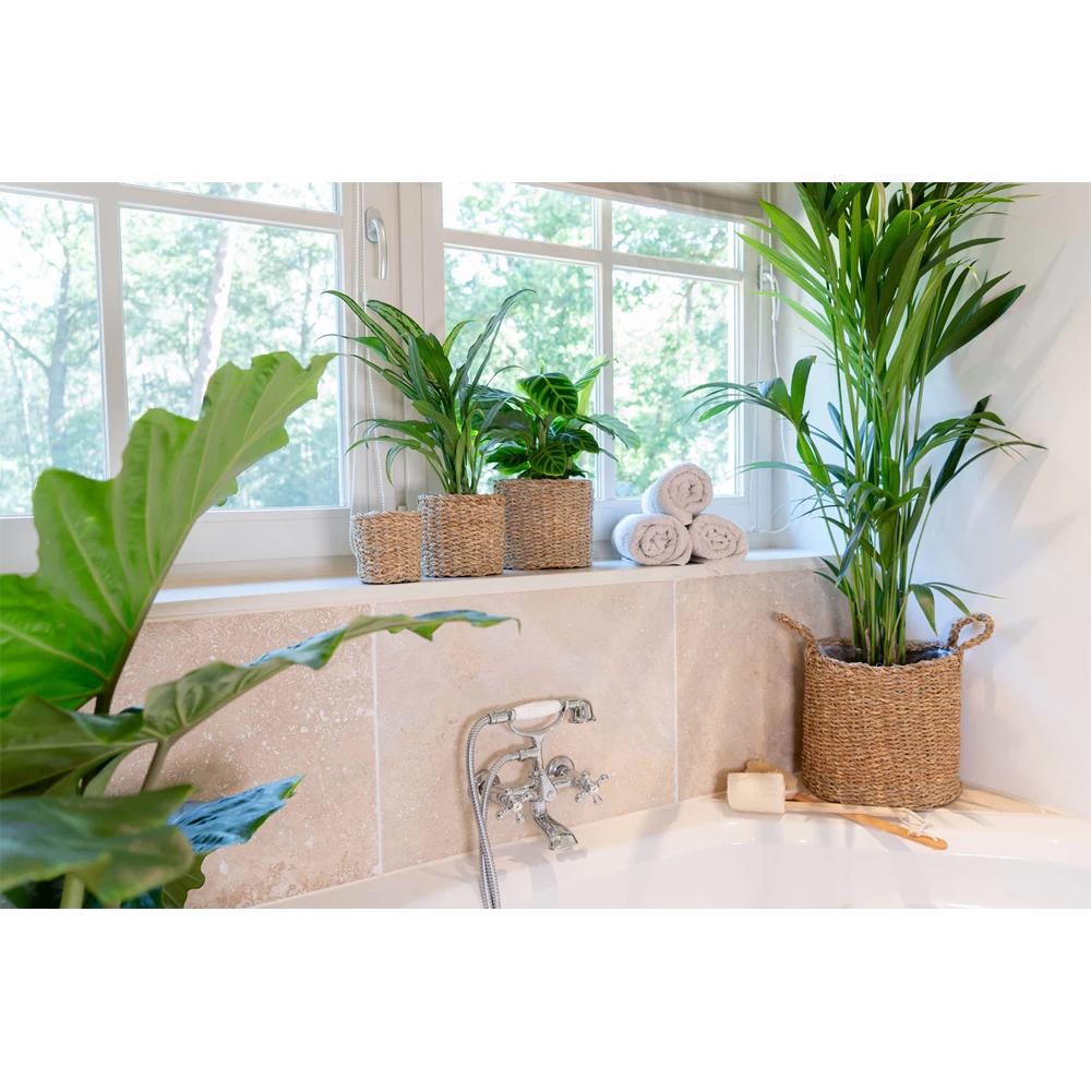 Plantenmand Joris - D42 X H36cm - Naturel 5 Plantenmand Joris - D42 X H36cm - Naturel - Afbeelding 3