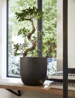 Capi Bloempot Bol Urban Smooth NL - D35 X H34cm - Zwart 7 Capi Bloempot Bol Urban Smooth NL - D35 X H34cm - Zwart -Tuinbenodigdheden Bevordering pot bol smooth nl 35x34 zwart bloempot 7 8