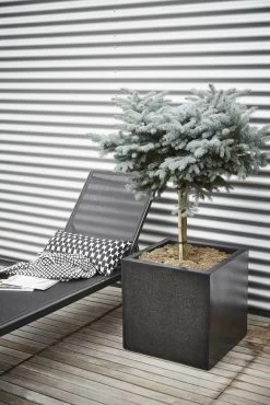 Capi Plantenbak Vierkant Lux Terrazo - L30 X B30 X H30cm - Zwart -Tuinbenodigdheden Bevordering pot vierkant 30x30x30 zwart plantenbak 7 8