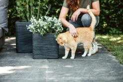 Capi Plantenbak Vierkant Nature Rib NL - L30 X B30 X H30cm - Zwart 7 Capi Plantenbak Vierkant Nature Rib NL - L30 X B30 X H30cm - Zwart -Tuinbenodigdheden Bevordering pot vierkant rib nl 30x30x30 zwart plantenbak 7 8