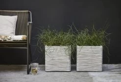 Capi Plantenbak Vierkant Nature Rib NL - L40 X B40 X H40cm - Ivoor -Tuinbenodigdheden Bevordering pot vierkant rib nl 40x40x40 ivoor plantenbak 7 8