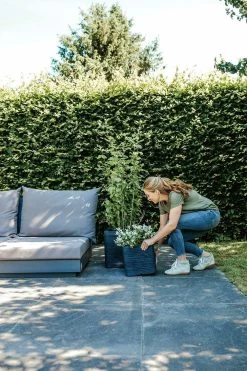 Capi Plantenbak Vierkant Nature Rib NL - L40 X B40 X H40cm - Zwart 7 Capi Plantenbak Vierkant Nature Rib NL - L40 X B40 X H40cm - Zwart -Tuinbenodigdheden Bevordering pot vierkant rib nl 40x40x40 zwart plantenbak 7 8