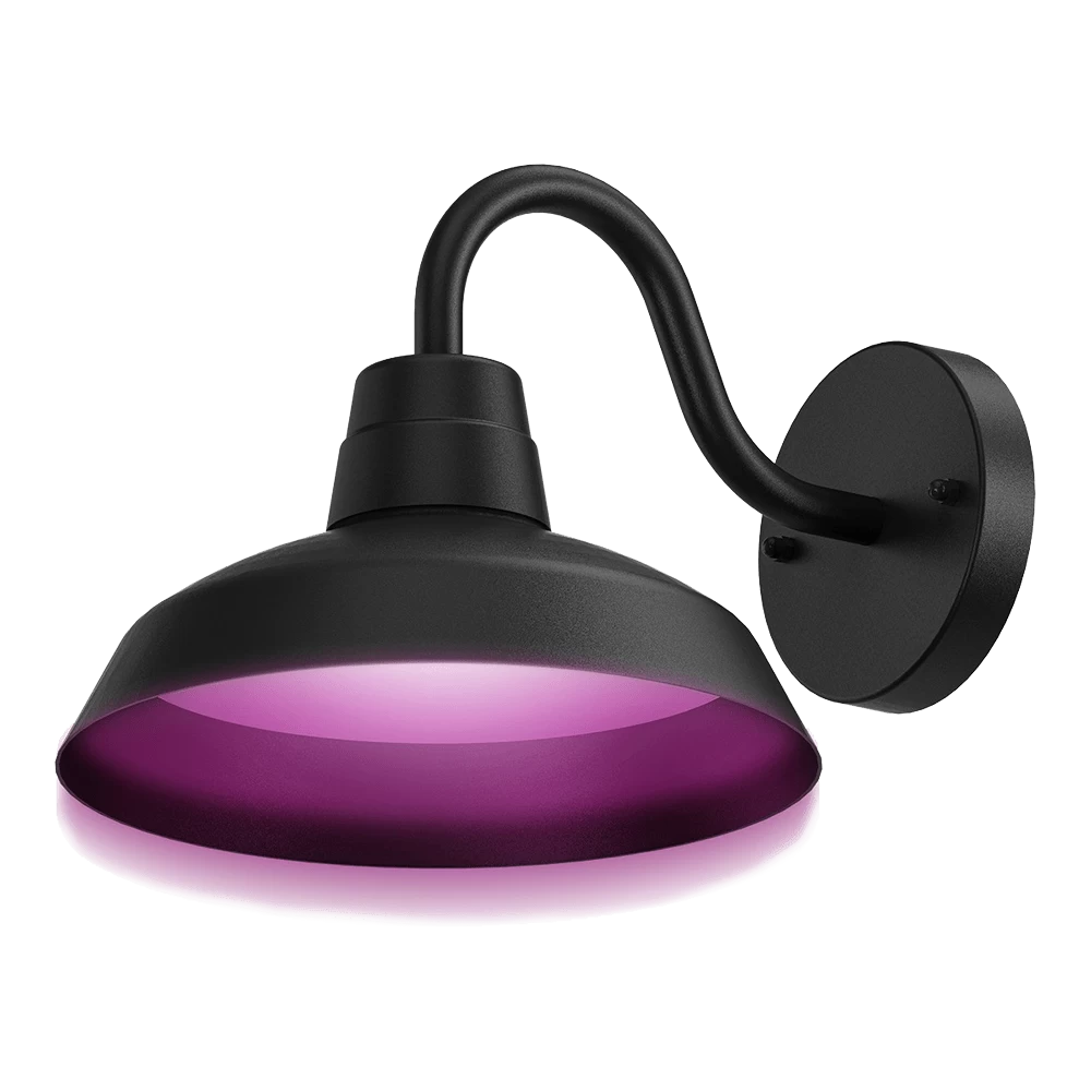 Calex Smart Outdoor Classic Wandlamp RGB CCT - 4W 380lm 4 Calex Smart Outdoor Classic Wandlamp RGB CCT - 4W 380lm - Afbeelding 2