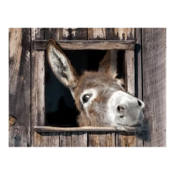 Tuinposter Ezel - 80x60cm