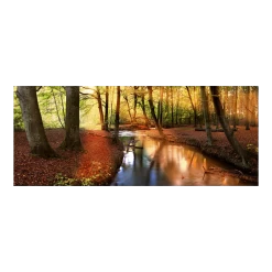 Tuinposter Lentebos - 110x45cm