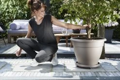 Plantentaxi Elho Universeel 30cm - Antraciet -Tuinbenodigdheden Bevordering universele planttaxi 30cm schotel antraciet 6 11