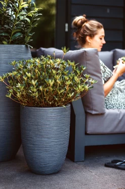 Capi Bloempot Nature Elegant Rib NL - D46 X H58cm - Donkergrijs -Tuinbenodigdheden Bevordering vaas elegant laag rib nl donkergrijs bloempot 2 4