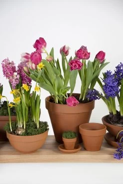 Bloempot Vaso - D39 X H34.5cm - Oranje -Tuinbenodigdheden Bevordering vaso 01390ez d39h345 bloempot 6 8