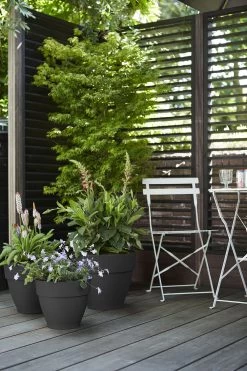 Bloempot Elho Vibia Campana Rond 55cm - Antraciet -Tuinbenodigdheden Bevordering vibia campana rond 55 bloempot antraciet 7 11