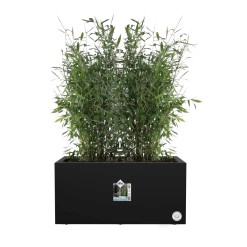 Elho Vivo Next Lang Wielen 80cm - Living Black -Tuinbenodigdheden Bevordering vivo next lang wielen 80cm living black 5 1