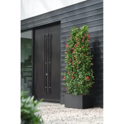 Elho Vivo Next Lang Wielen 80cm - Living Black -Tuinbenodigdheden Bevordering vivo next lang wielen 80cm living black 6 1