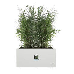 Elho Vivo Next Lang Wielen 80cm - Wit -Tuinbenodigdheden Bevordering vivo next lang wielen 80cm wit 5 1